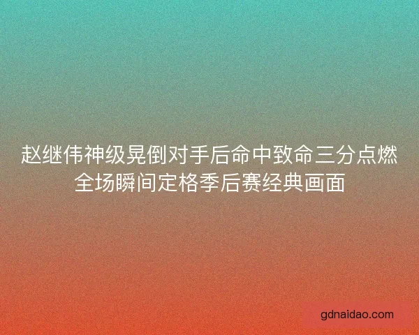 赵继伟神级晃倒对手后命中致命三分点燃全场瞬间定格季后赛经典画面