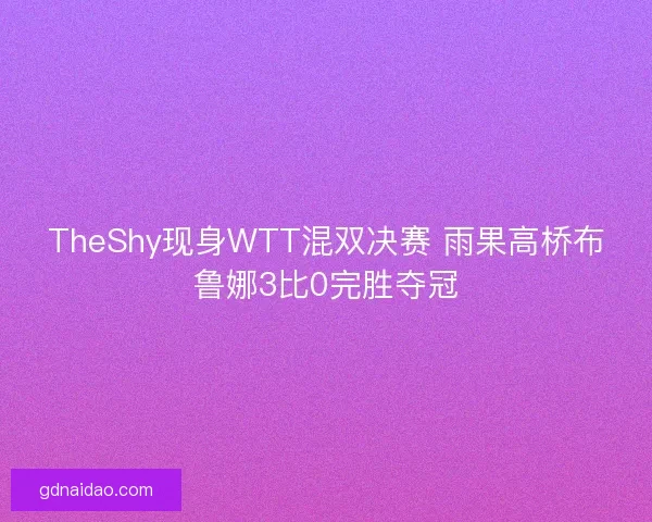 TheShy现身WTT混双决赛 雨果高桥布鲁娜3比0完胜夺冠